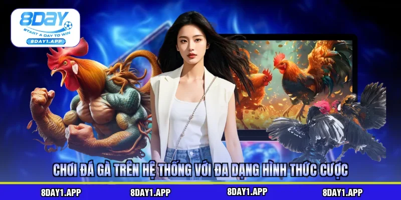 Chơi đá gà trên hệ thống với đa dạng hình thức cược
